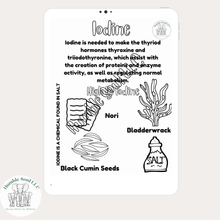 Load image into Gallery viewer, Humble Herb Coloring Book
