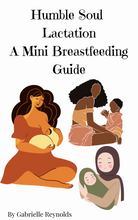 Load image into Gallery viewer, A Mini Breastfeeding Guide
